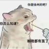 xxxxxxf的头像-魔酷网