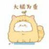 胖胖的小橘