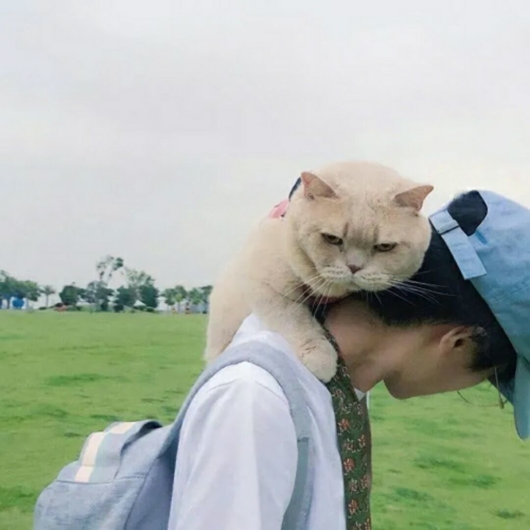 。。。_113
