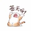 辕辙