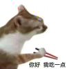 赤い葉_343