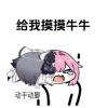 绝育兔