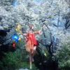 我主沉浮