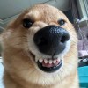 蝉鸣终于盛夏