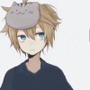 排个人类好吗