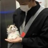 用户29073882的头像-iPA资源站