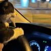 佚名网友的头像-魔酷网