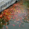 随缘-神仙论坛