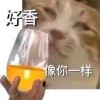⊙▽⊙的头像-七玩网