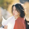 木槿昔年