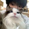 伍六七的头像-【TITAIKE】T太科网