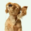 yunyun的头像-Rust可狼插件网 | Rustnm - Rust插件网