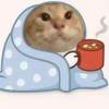 玩地球online玩的
