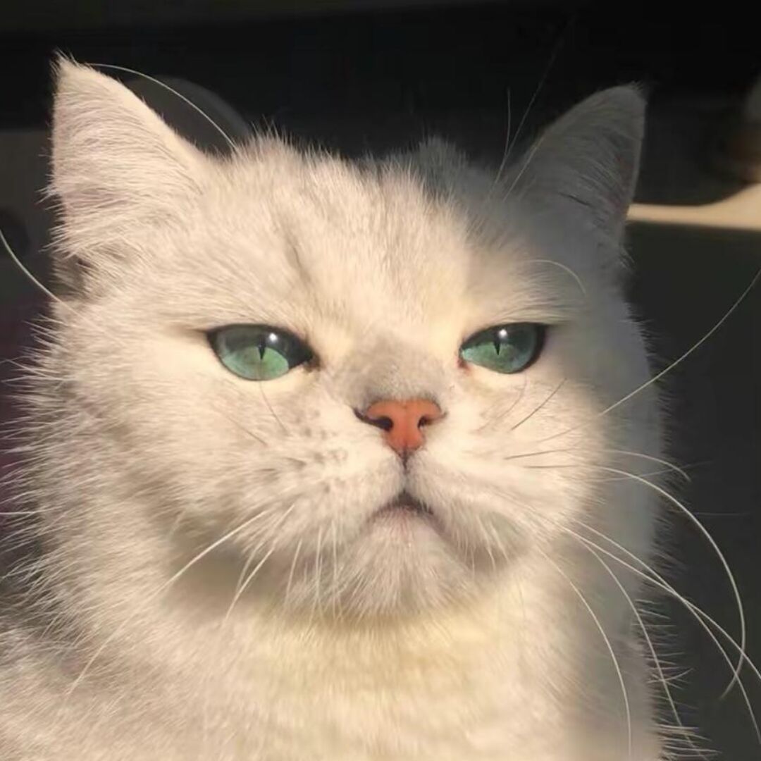 迷茫づ呐