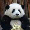 Sailing的头像-七玩网