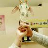 qq_***