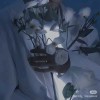 栀麦