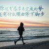 qq923232794