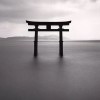 镜梦白华