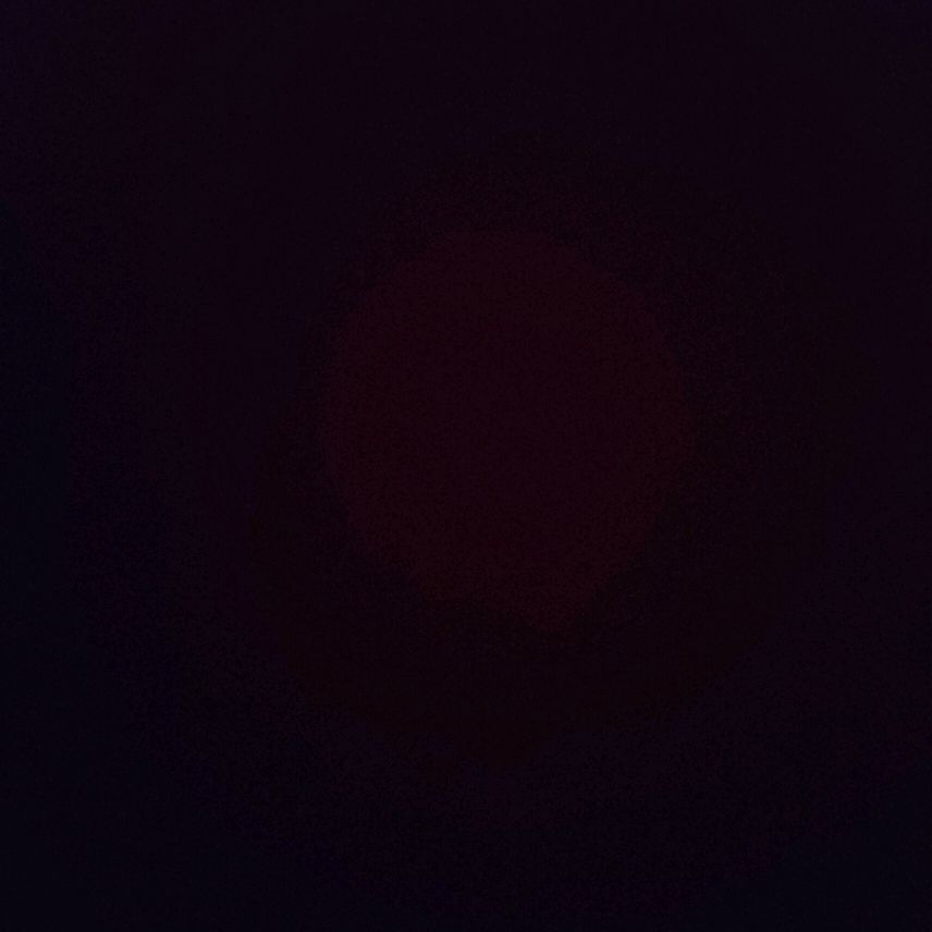 金鼎