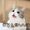 hcfhf