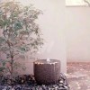 彼岸的旅人