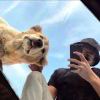 飛._871
