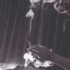 恩秀的头像-iPA资源站