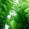 姜永生的头像-博士钣金 - www.bsbanjin.com