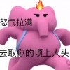 三花猫行骟日
