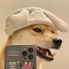 现鹿