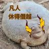 ssskkksss的头像-魔酷网