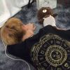 Hai鱼的头像-魔酷网