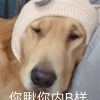 用户17916503的头像-iPA资源站