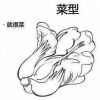 用户_1292