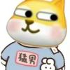 苏嗷嗷。