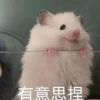 哈_223