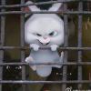 杜南嘉