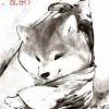 菜鸡园里的大