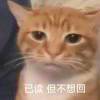 啥掉
