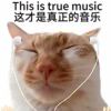 还要起名？