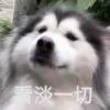 ZONGPI的头像-哈基米社区