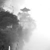 不器的头像-助眠音声网