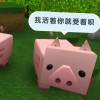 131313微服务额度发发发的头像-【TITAIKE】T太科网