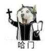 东曦朝阳的头像-【TITAIKE】T太科网
