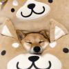蠢脸骑士