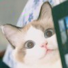 心无禁忌