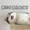 Thosa