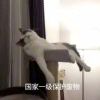 四点五的头像-魔酷网