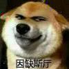 兔、先生